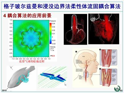 浸没边界流固耦合算法